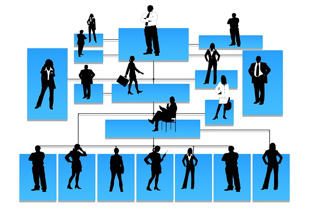 Draw Interpret and Understand Simple Organisational Charts